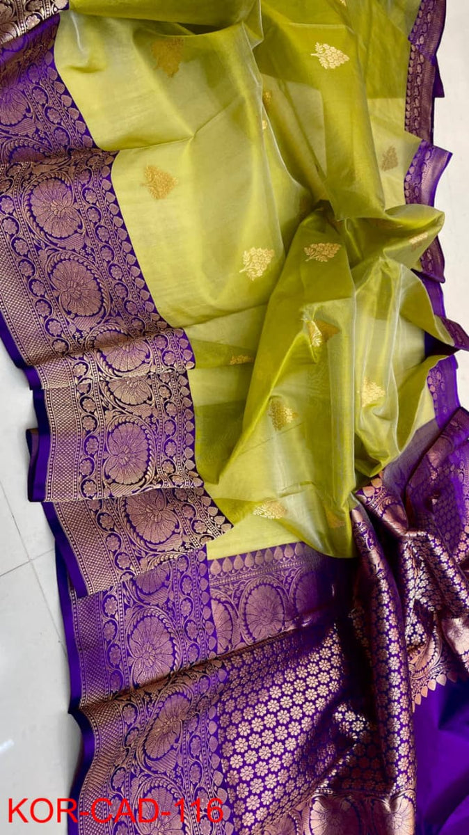 Benaras Kora Organza 29