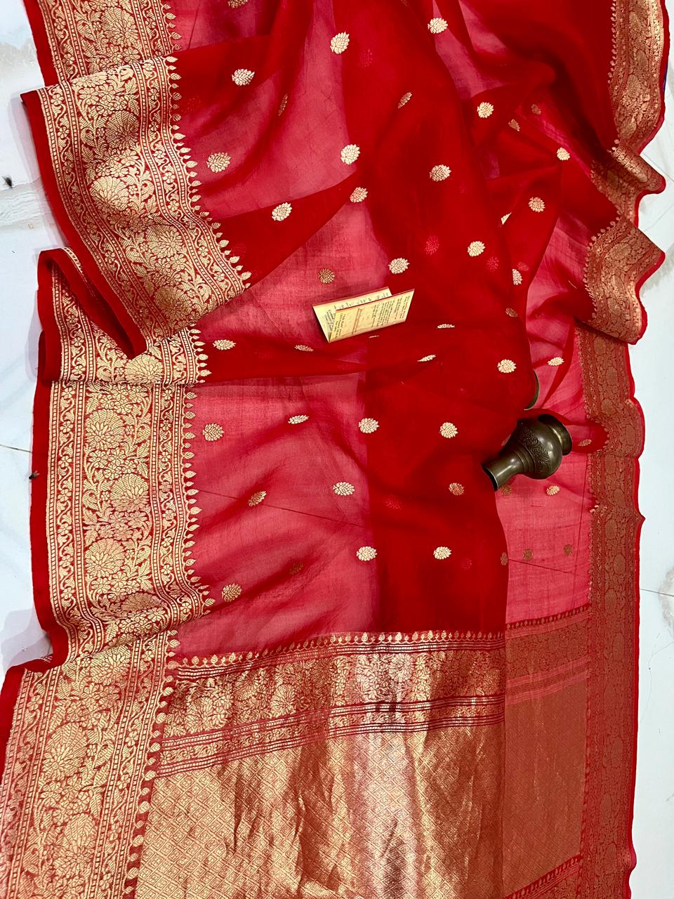 Benaras Kora Organza 3