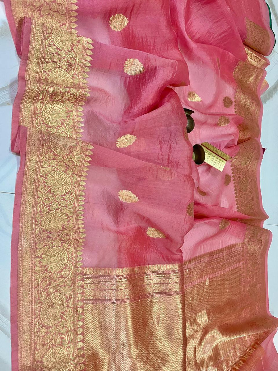 Benaras Kora Organza 6