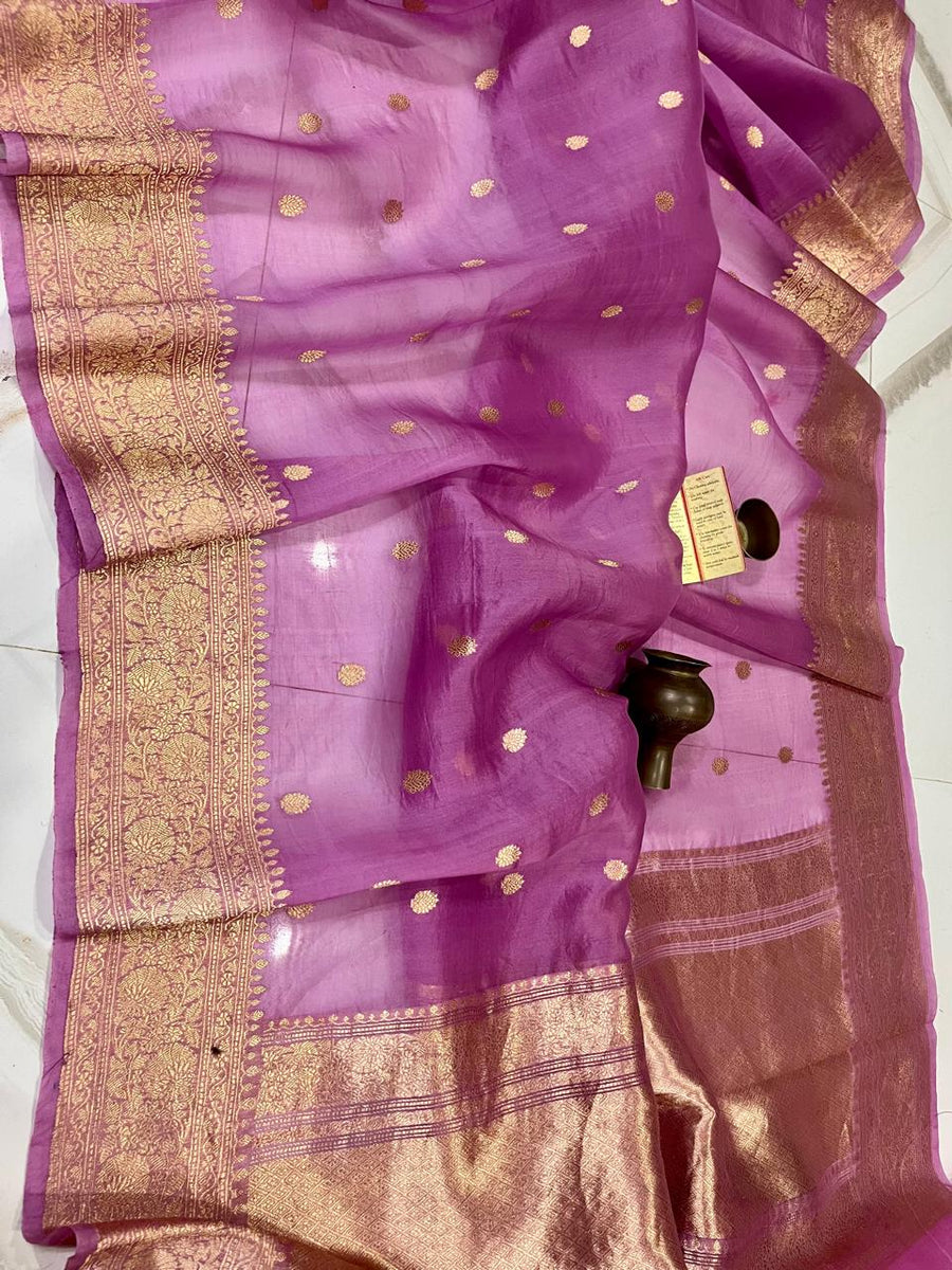 Benaras Kora Organza 9