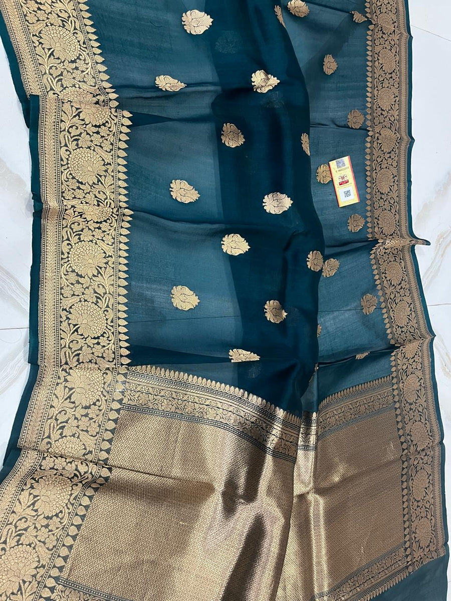 Benaras Kora Organza 11