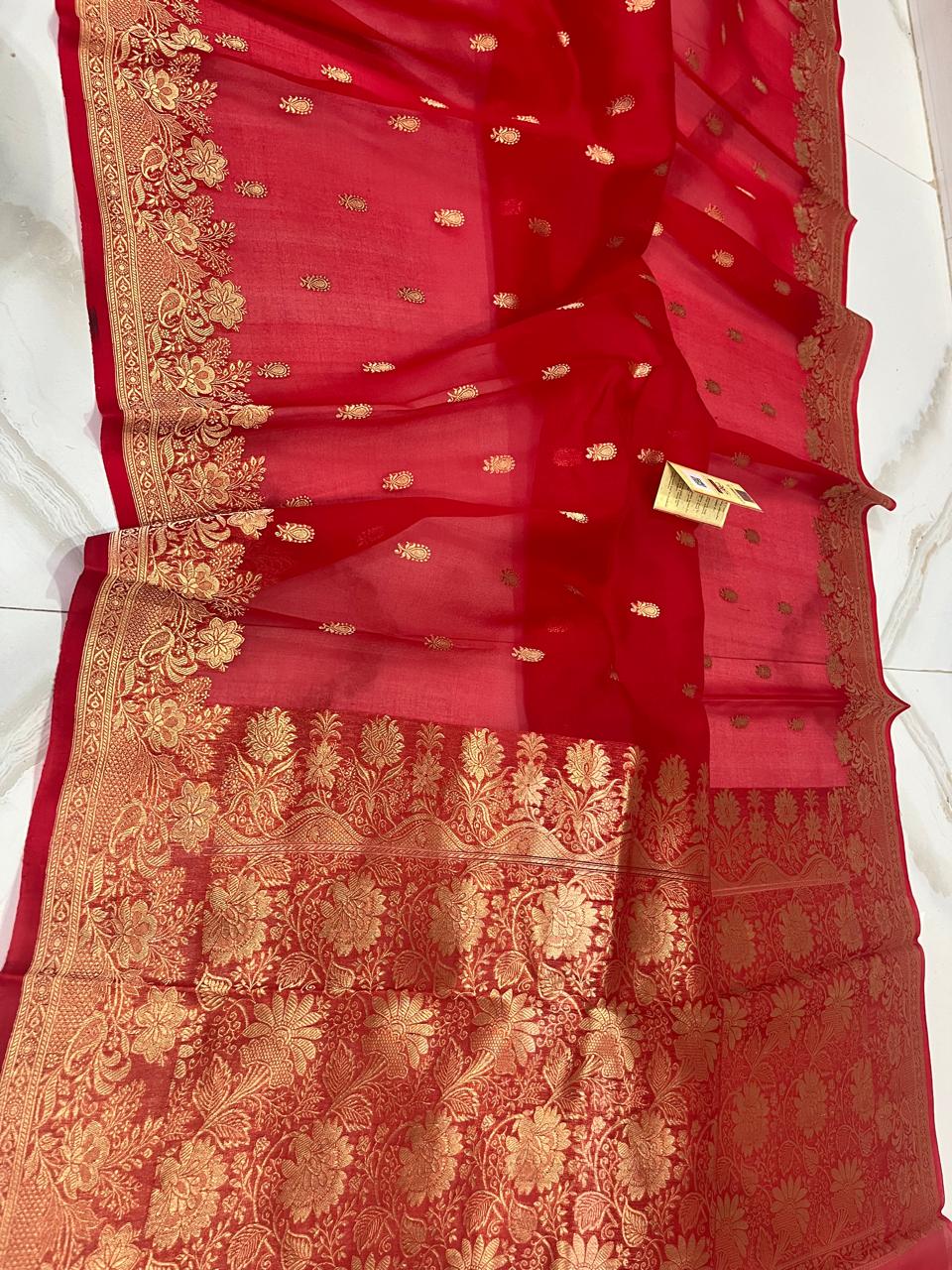 Benaras Kora Organza 12