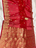 Benaras Kora Organza 12