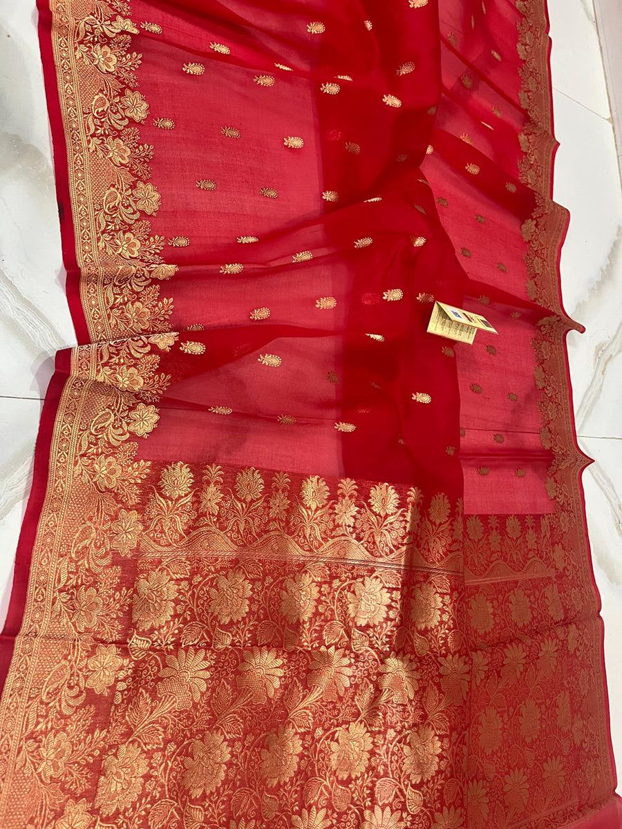 Benaras Kora Organza 12
