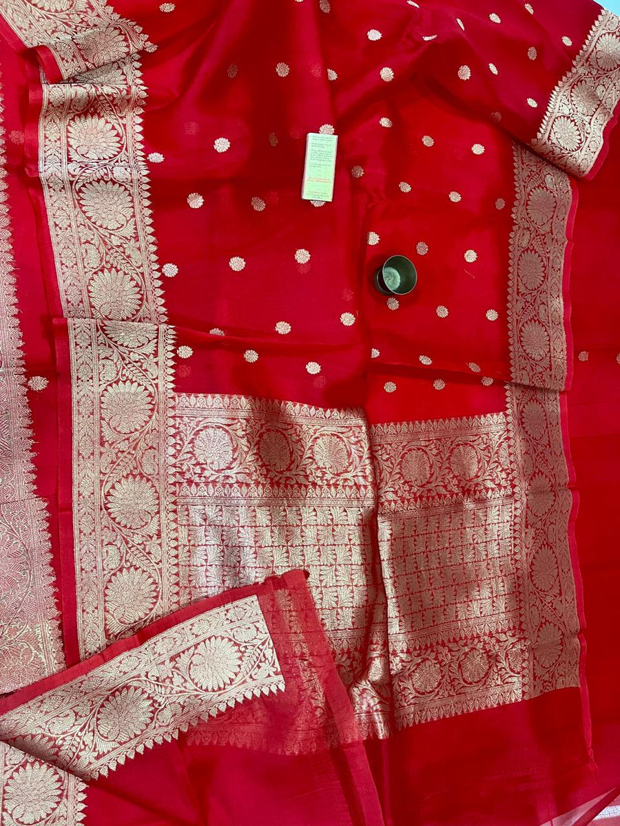 Benaras Kora Organza 14