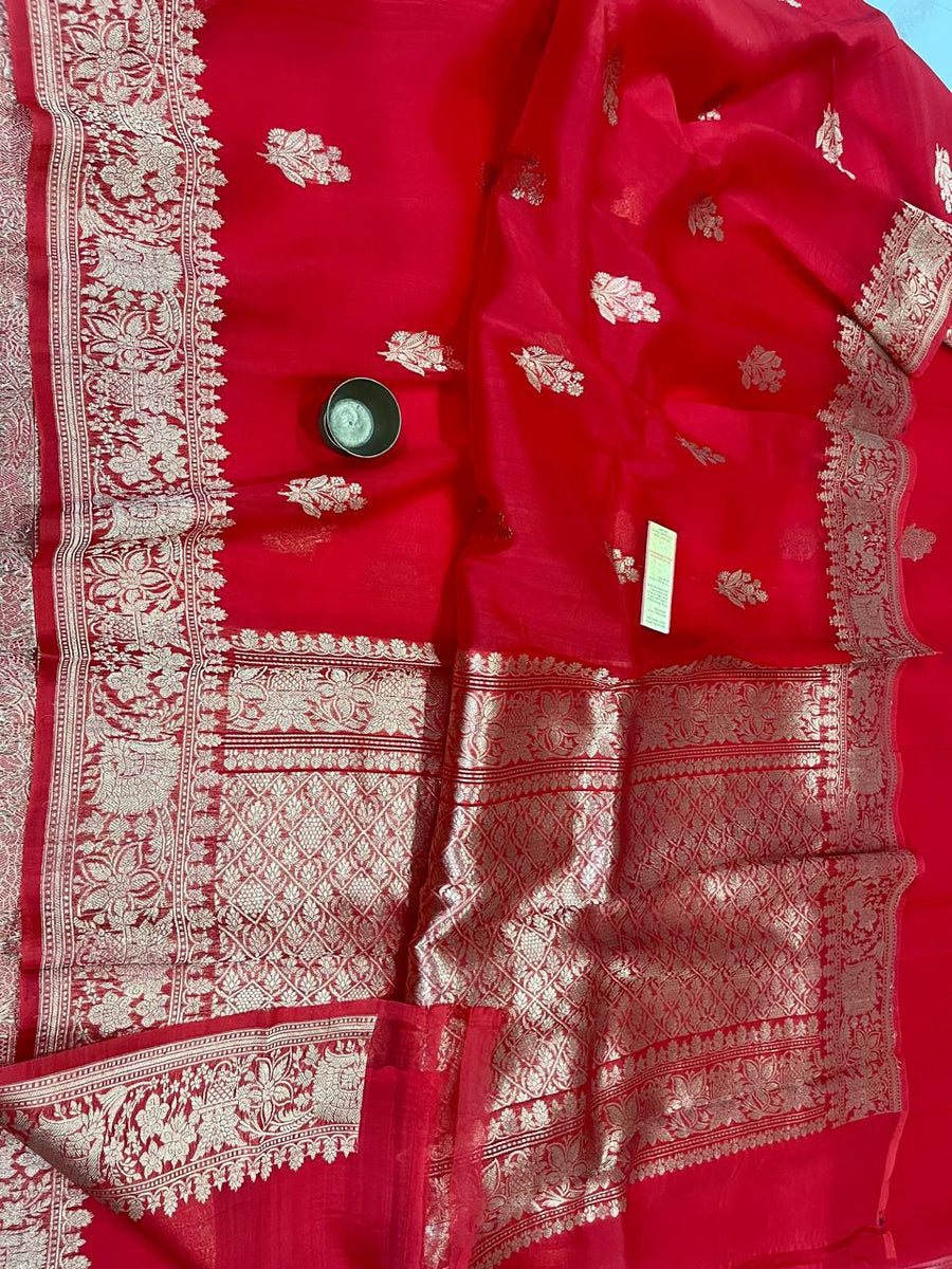 Benaras Kora Organza 16