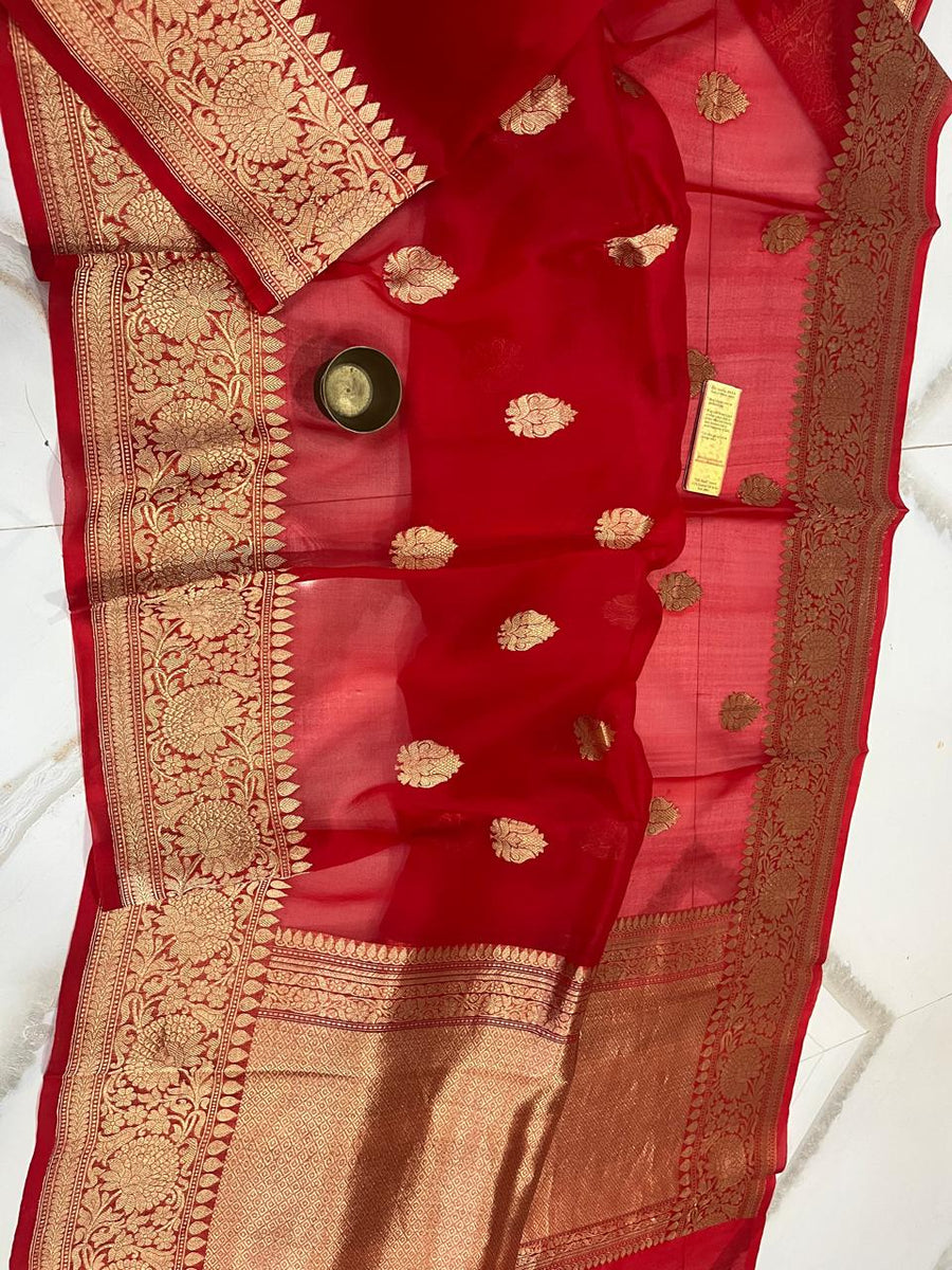 Benaras Kora Organza 21