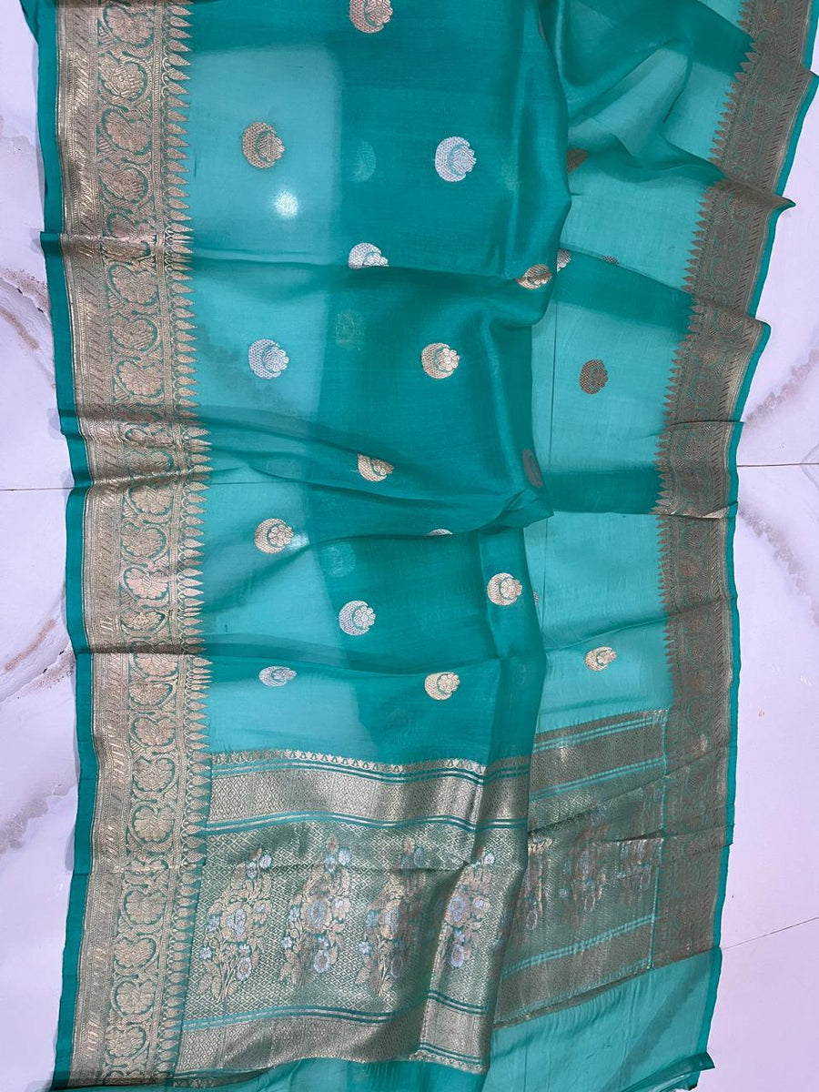 Benaras Kora Organza 24