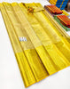 Kanjeewaram Tissue Style 66