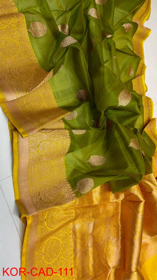 Benaras Kora Organza 27
