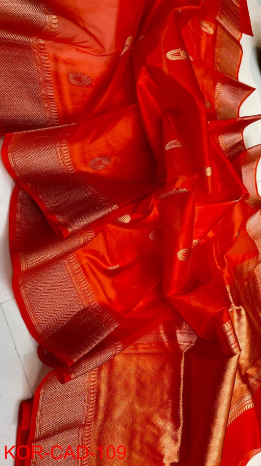 Benaras Kora Organza 31