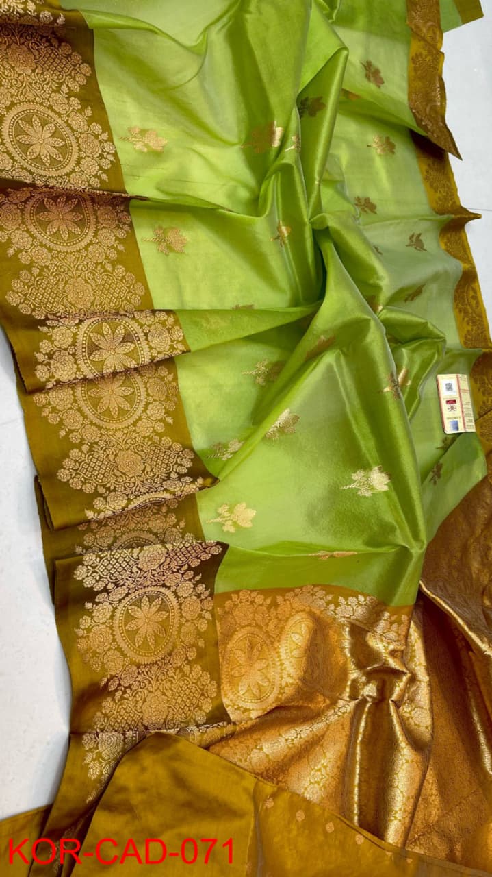 Benaras Kora Organza 39