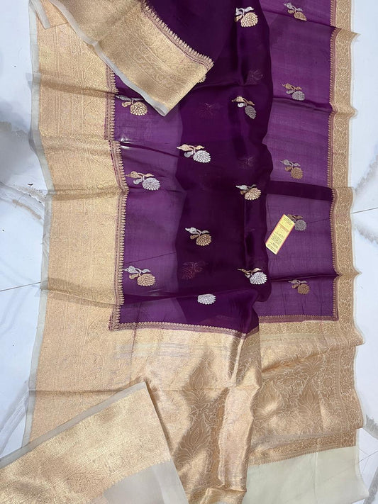 Benaras Kora Organza 18